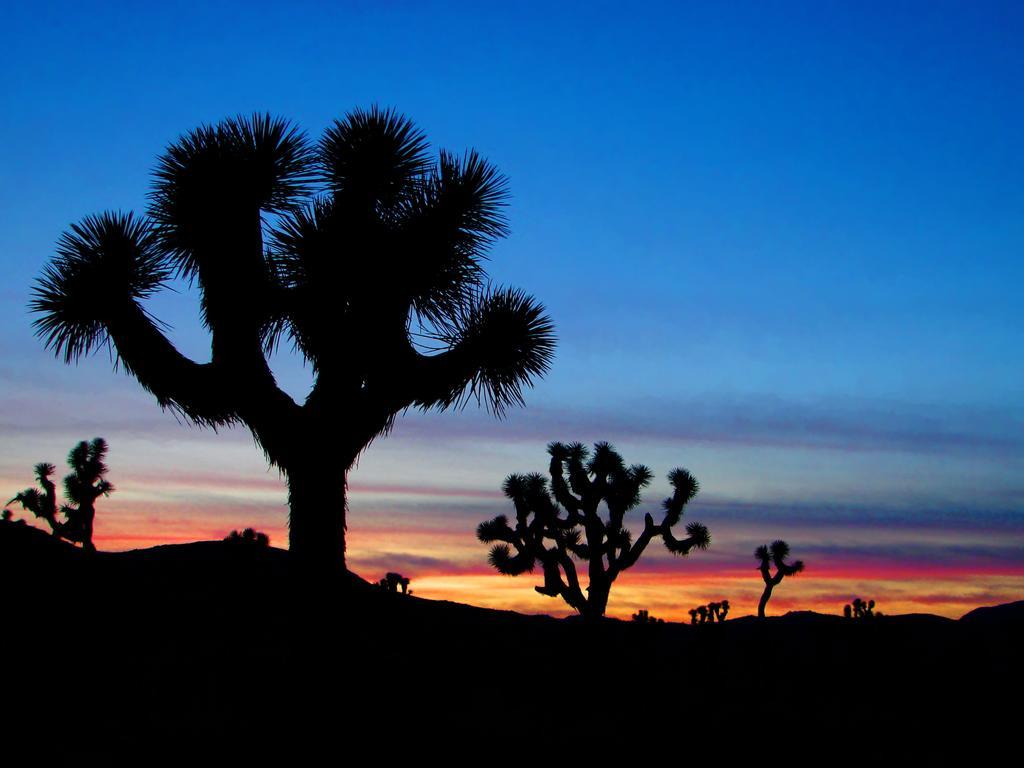 Raintree'S Cimarron Golf Resort Palm Springs Cathedral City Bagian luar foto