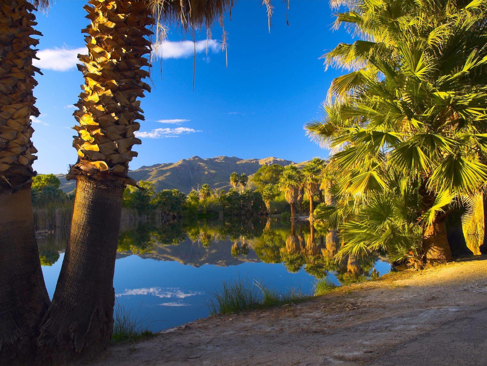 Raintree'S Cimarron Golf Resort Palm Springs Cathedral City Bagian luar foto